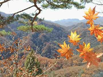 铜官山区剧团未来发展规划展望